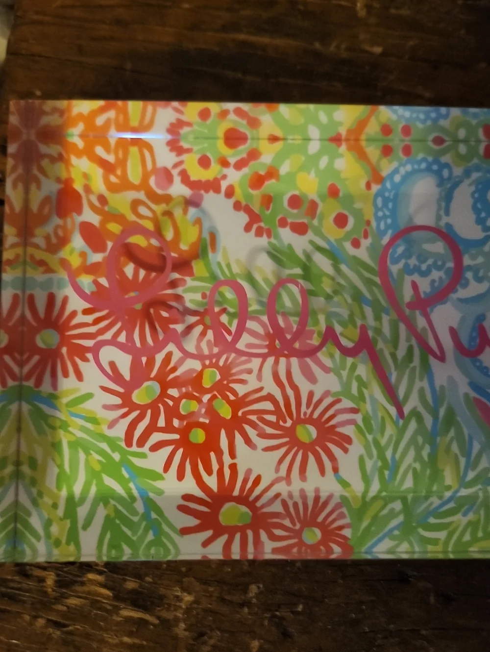 Vtg Lilly Pulitzer Colorful Acrylic Store Display Plaque